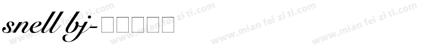 snell bj字体转换